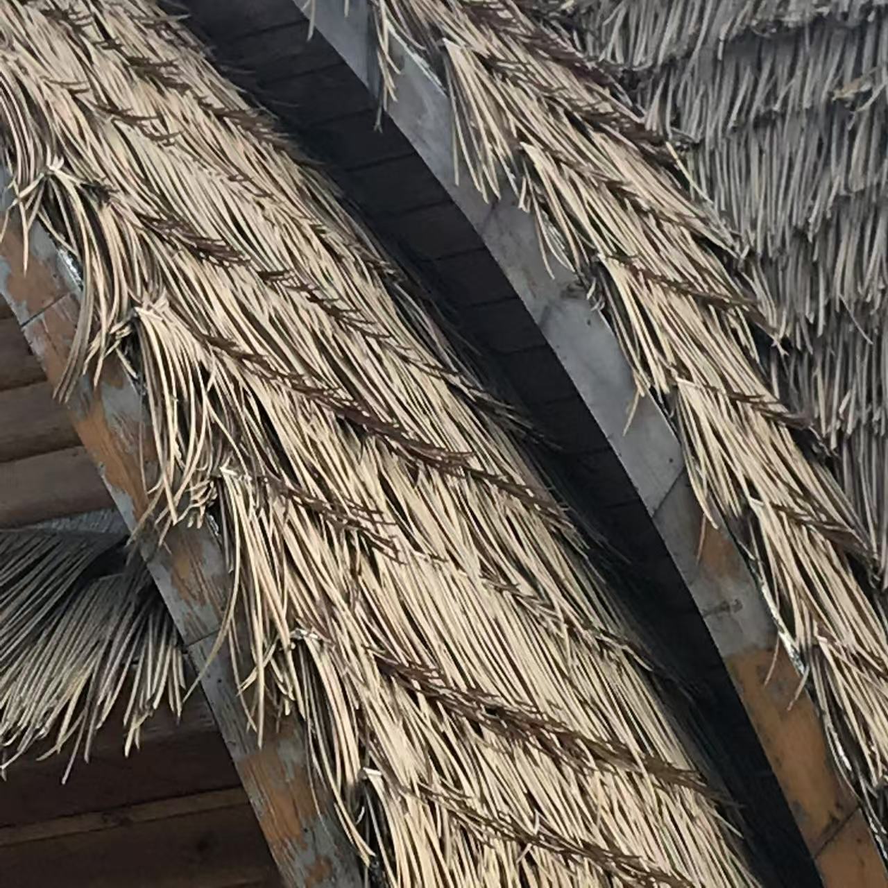 bamboothatch