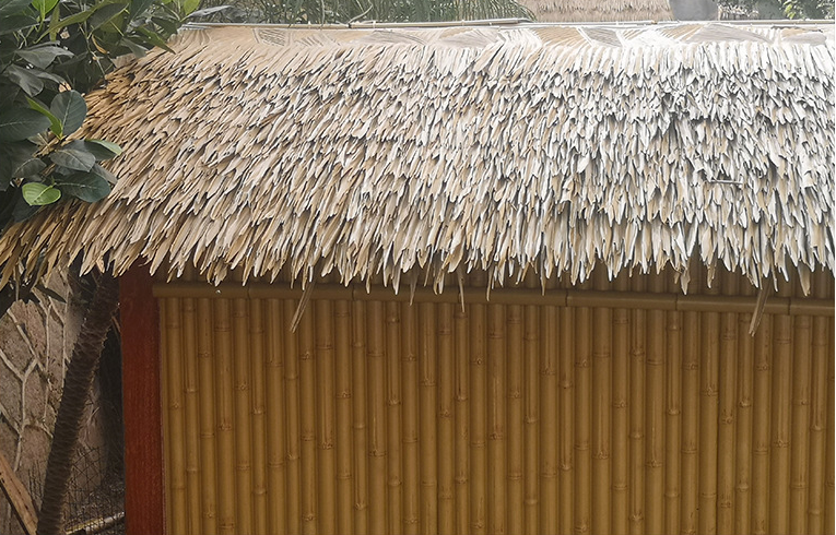 bamboothatch